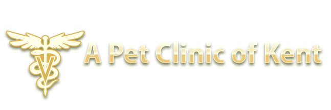 A Pet Clinic of Kent